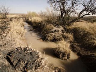 Chihuahuan Desert | Places | WWF