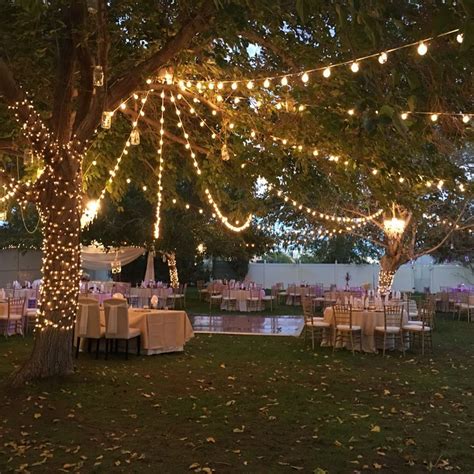 Night Garden Wedding Decorations