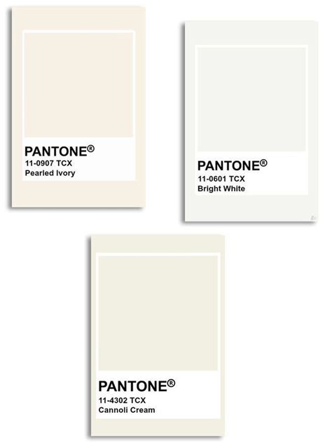 Ivory, White, Cream tones - Pantone | Ivory color palette, Pantone ...