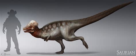 No more Demons and Dragon Kings? Pachycephalosaurus ontogeny — Saurian