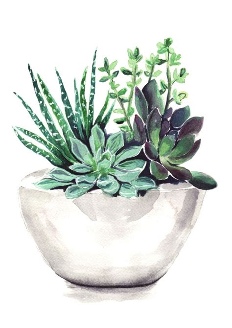 1835 best Nature . Succulents ! images on Pinterest | Succulents ...