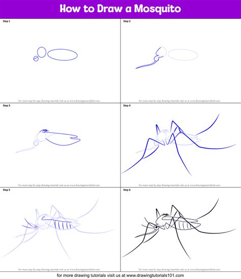 How to Draw a Mosquito printable step by step drawing sheet ...