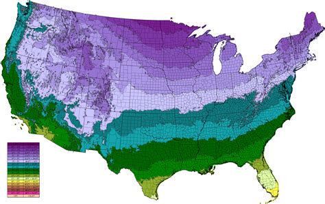 January Weather Map Usa - Freddy Bernardine