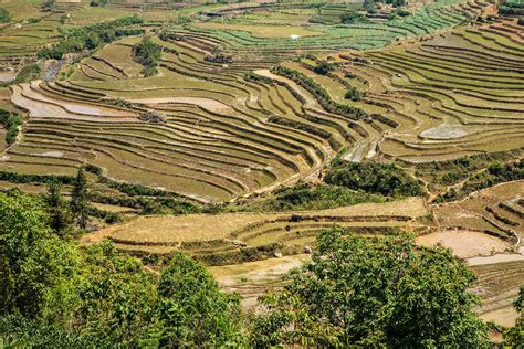 Incredible Sapa Rice Terraces of Vietnam - LifePart2andBeyond.com