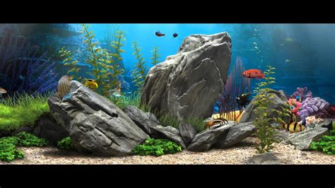 Live Aquarium Wallpaper