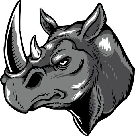 Rhino Head Drawing | Free download on ClipArtMag