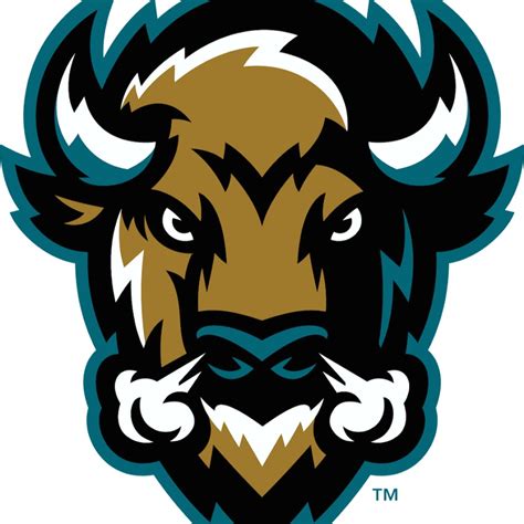 photo.jpg (900×900) | Bison logo, Sports logo design, Sports logo ...