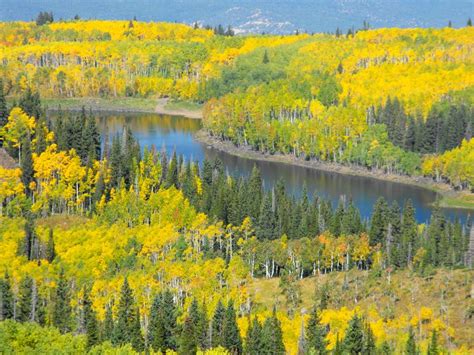 Grand Mesa Fall Colors (Montrose, Aspen: things to do, yard, top ...