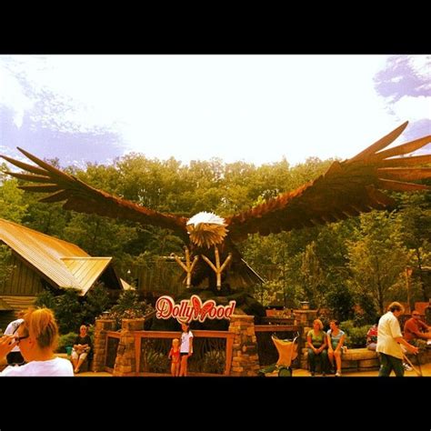 Wild Eagle - Dollywood