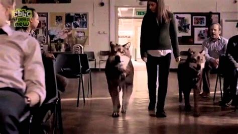 Wolfblood Season 2 Trailer - YouTube