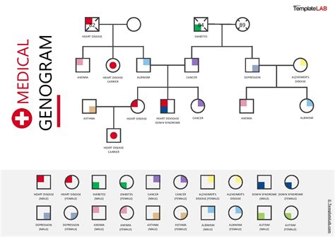 Free Medical Genogram Template