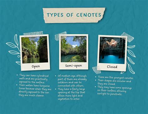 Types of cenotes in the Yucatán Peninsula