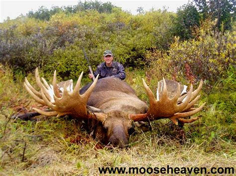 Eric Arnette's Moose Possible World Record Moose