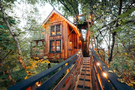 31 Best Pacific Northwest Treehouse Rentals - Renee Roaming