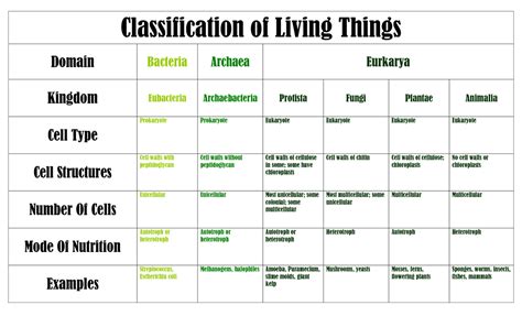 Classification of Living Things - michelleburden