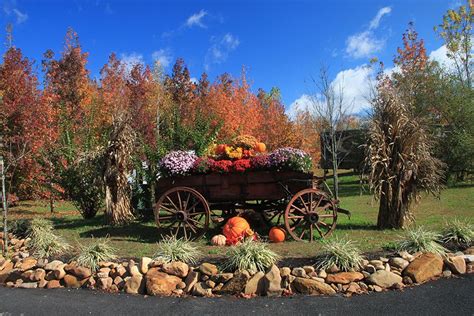 wagons at dollywood - Google Search | Dollywood, Rv parks, Campground