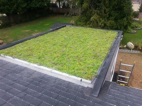 Green Roof Installation - BestWest Group