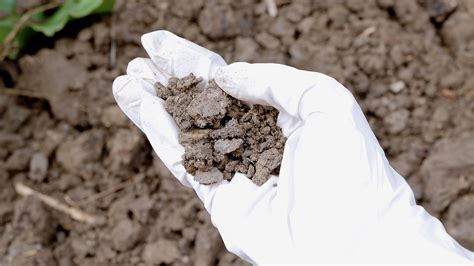 Contaminated Soil Treatment Methods | Enva