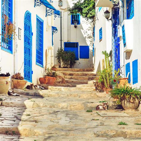 White And Blue City Of Sidi Bou Said, Tunisia, North Africa - Travel ...