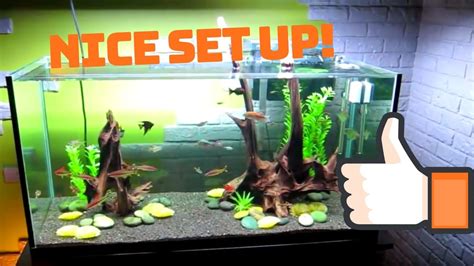 Learn About The Procedure Of Setting Up A 50 Gallon Aquarium Here ...