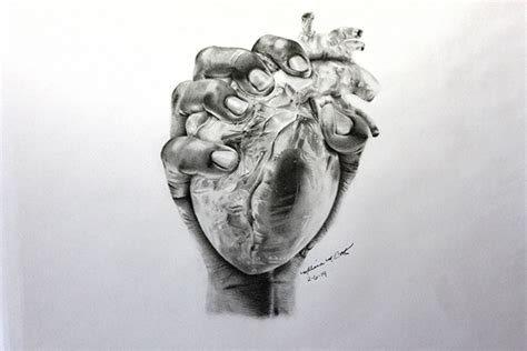 Heart in Hand drawing :: Behance