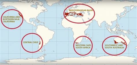 Chaparral Biomes in Ecology: Location, Climate, Plants, Animals and ...