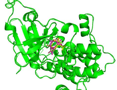 The crystal structure of protein kinase C (PDB 3TXO). The docked ligand ...