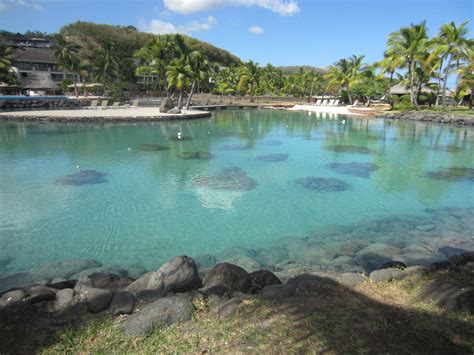 Lagoonarium at Intercontinental on Tahiti | Tahiti, Vacation, Outdoor