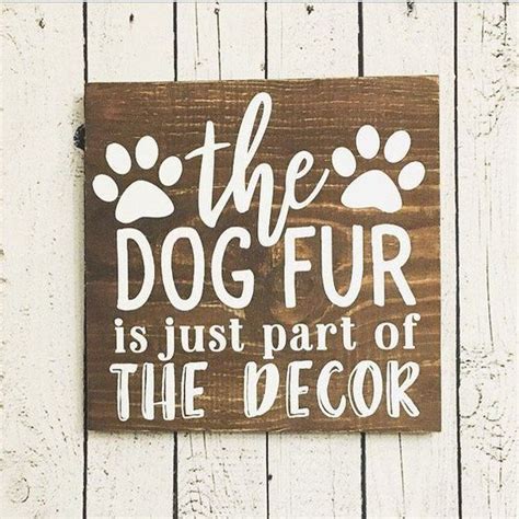 Pin by Cristina Gemmell on Creative & Inspired | Funny dog signs, Dog ...