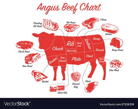 Angus Beef Chart Meat Cuts Diagram