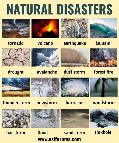 Types of Natural Disasters - PaytenknoeFields