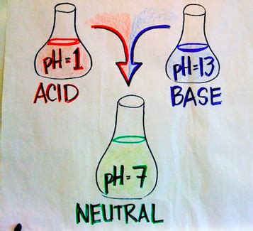 Neutralization - Acids And Bases 101: The Basics Of Chemistry