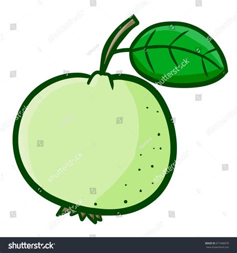 Funny Yummy Green Guava Ready Eat Stock Vector (Royalty Free) 671968078 ...