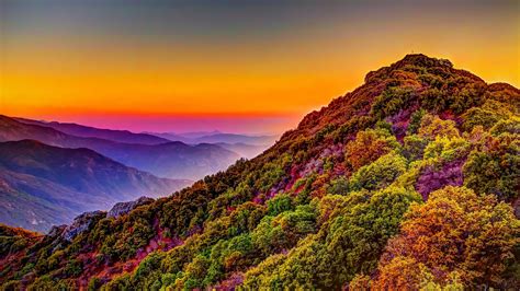 Mountain, Colorful, Forest, Nature, Sunset, Scenery, 4K, #161 Wallpaper ...