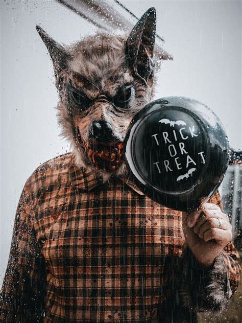 Man with a Realistic Wolf Mask Behind the Door · Free Stock Photo