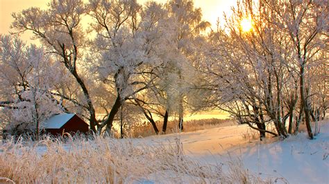 Romania Winter by skyzorR on DeviantArt