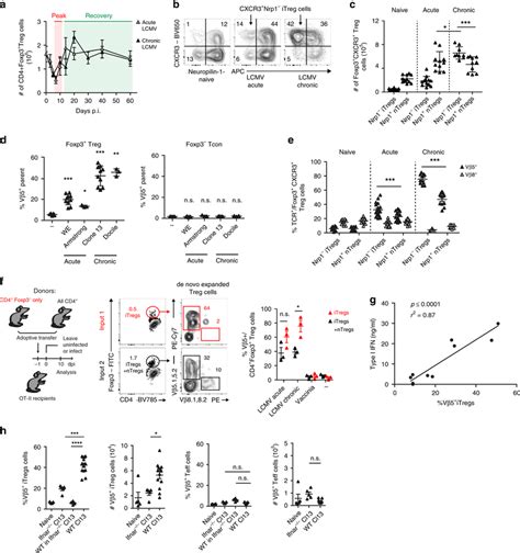 Induced Treg cells compensate for Treg cell loss caused by type I ...