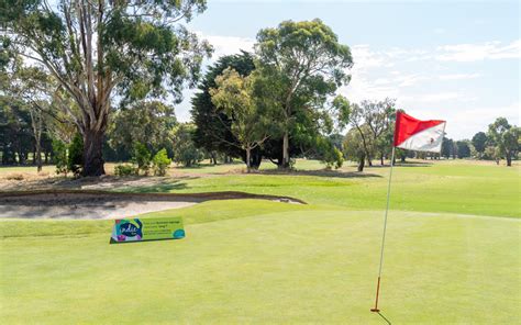 Portarlington Golf Club - Indie Lime