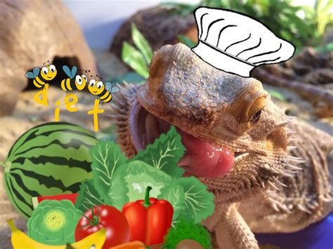 Bearded Dragon Diet and Nutrition [Over 125 Safe Food List]