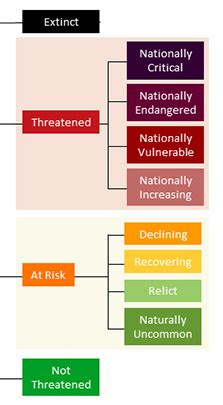 Conservation status of plants and animals: Nature