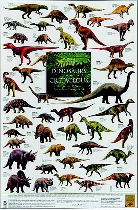 Cretaceous Dinosaurs