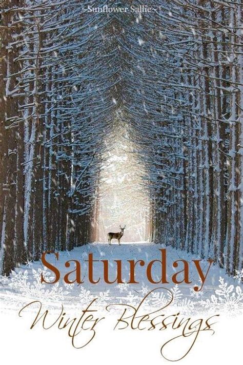 Saturday Winter Blessings Pictures, Photos, and Images for Facebook ...