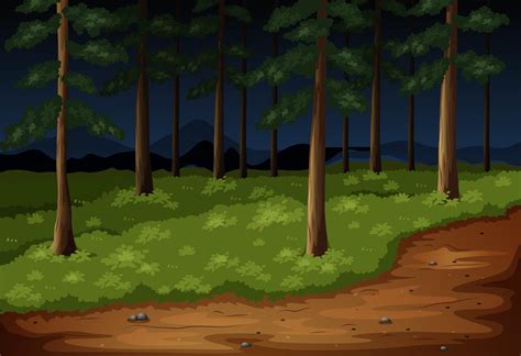 Forest scene with trees and trail at night 303514 Vector Art at Vecteezy