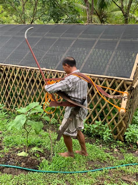 Setting up a carabao plow — Stargazer Farm