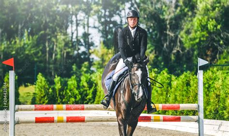 Showjumping competition, bay horse and rider in black uniform ...