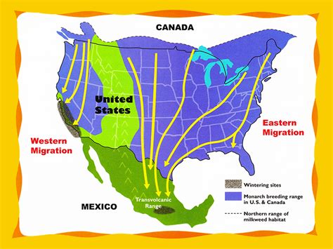 Monarch Migration - Monarch Butterfly USA