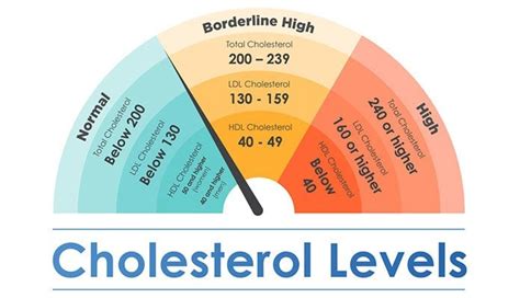 Cholesterol Levels