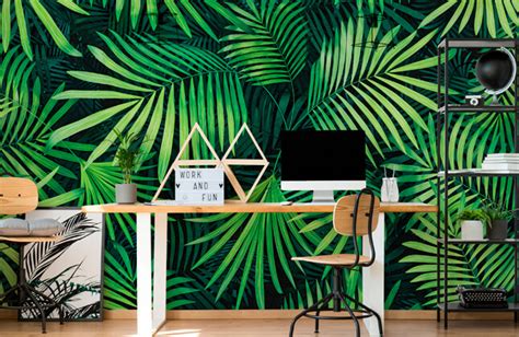 Green Wallpaper | Wallsauce NZ