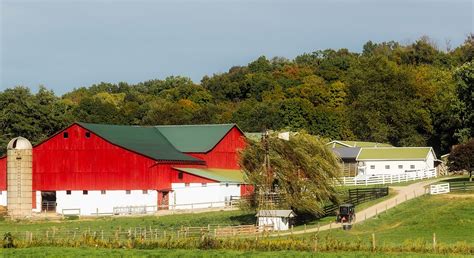 Top 10 Berlin Ohio Cabins Near Amish Country - Cabin Critic