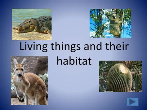 PPT - Living things and their habitat PowerPoint Presentation - ID:5938546